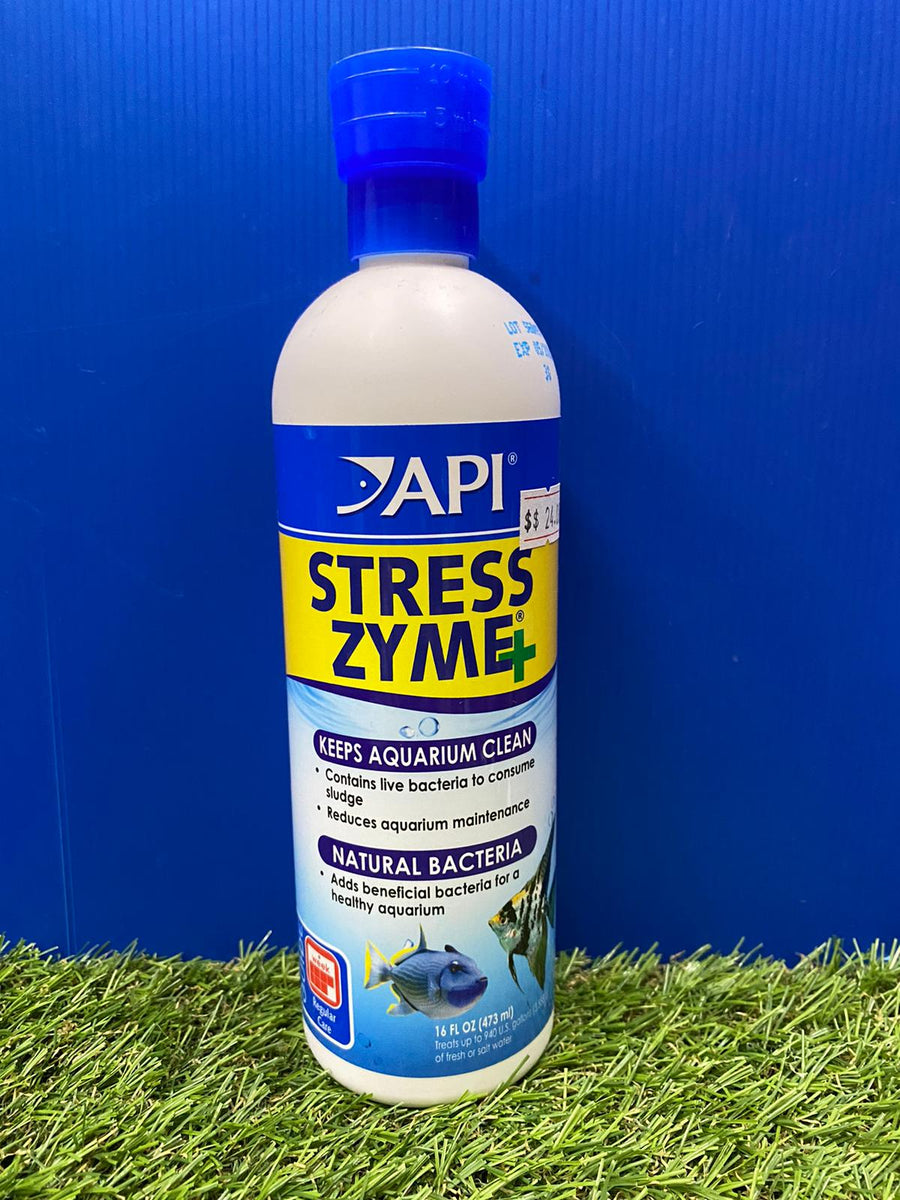 Api stress hot sale zyme