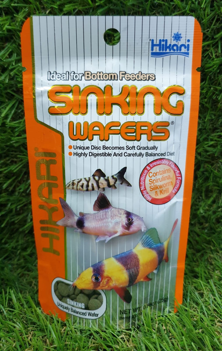 Sinking wafers outlet fish food