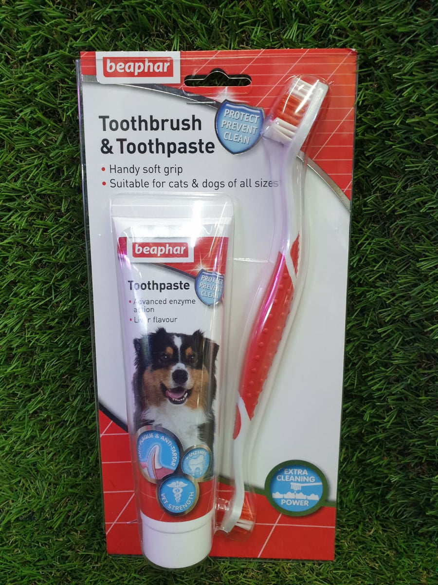 Beaphar toothbrush and toothpaste kit fashion