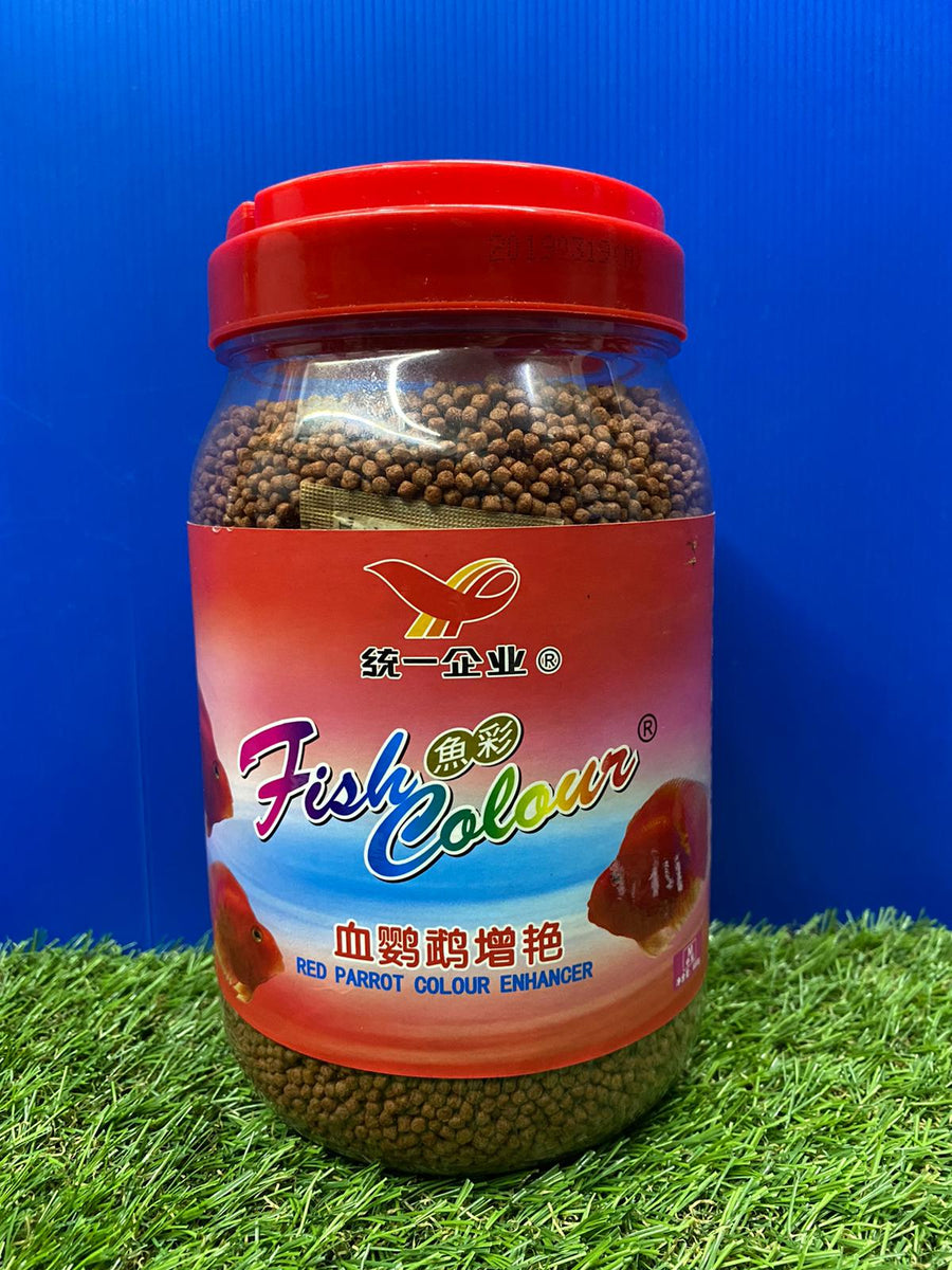 TongYi Fish Color LFS Aquarium