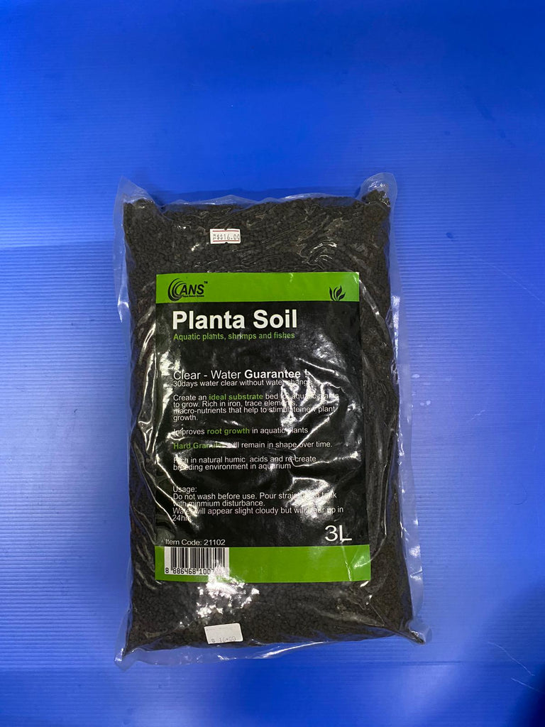 ANS Planta Soil