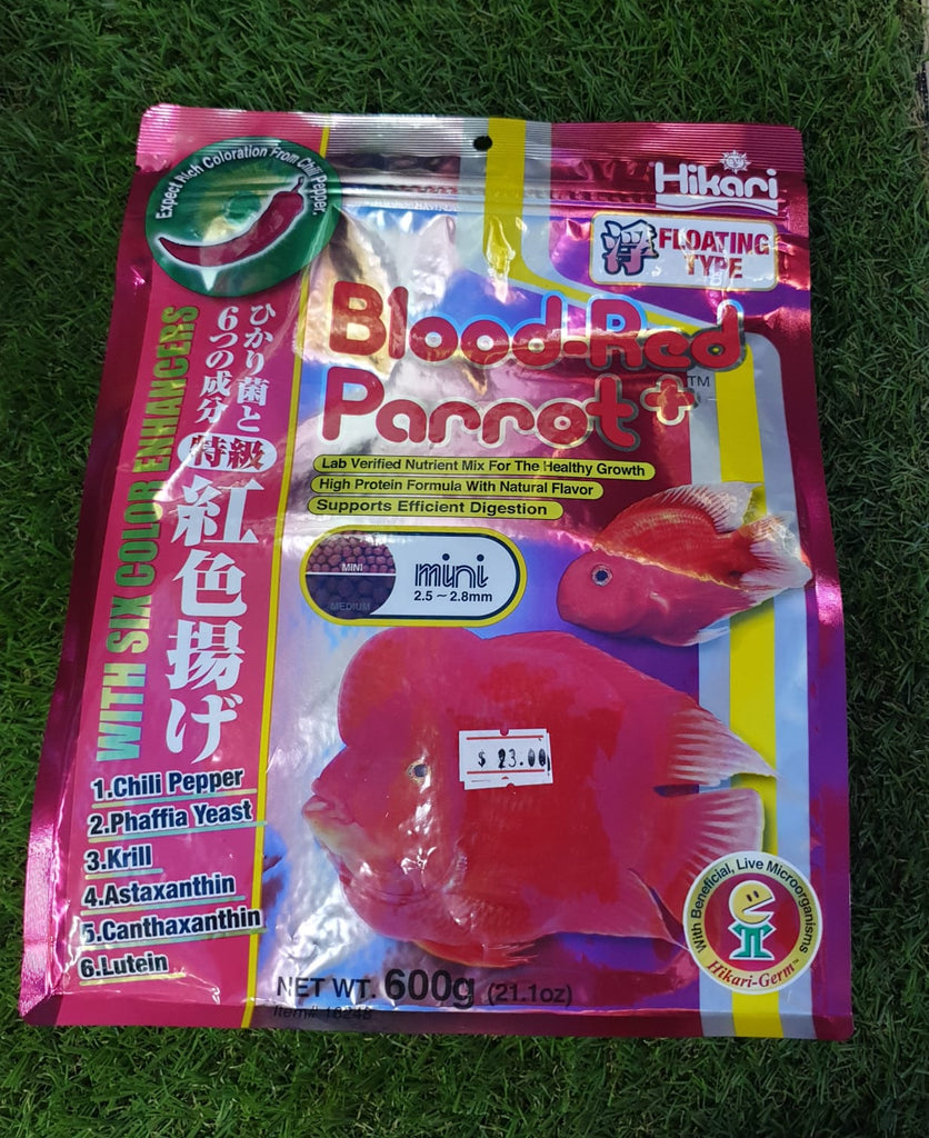 Blood-Red Parrot + Mini Pellet