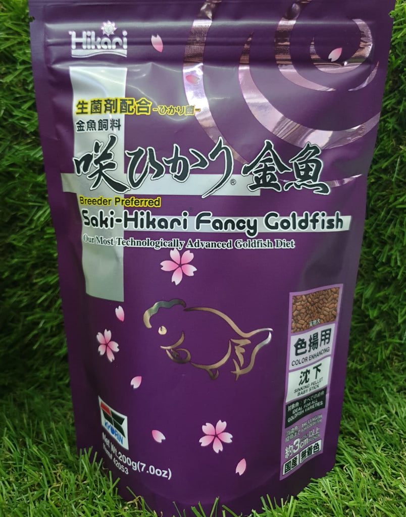 Saki-Hikari Fancy Goldfish