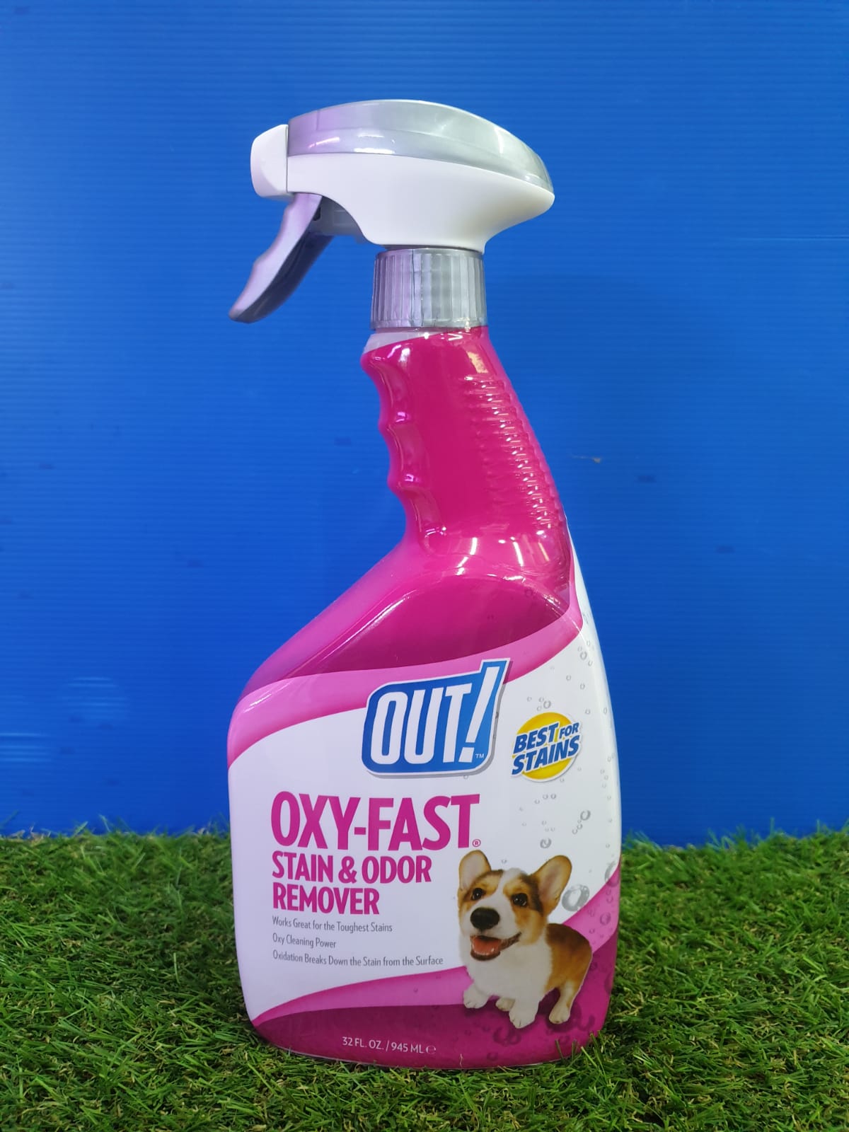 Oxy fast stain 2025 and odor remover